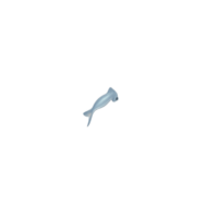 Fish movement